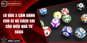 Lô Đầu 3 Câm Đánh Con Gì Và Cách Soi Cầu Hiệu Quả Từ S666