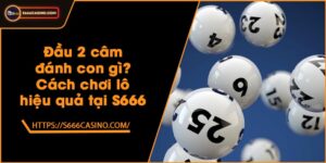 Đầu 2 câm đánh con gì? Cách chơi lô hiệu quả tại S666